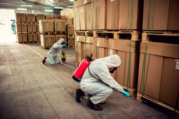 Professional Pest Control in Richmond, VA