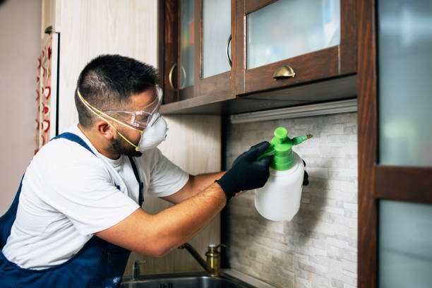 Best Affordable Pest Control Services  in Richmond, VA