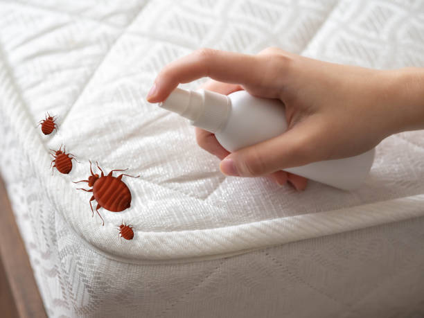 Best Emergency Pest Control  in Richmond, VA