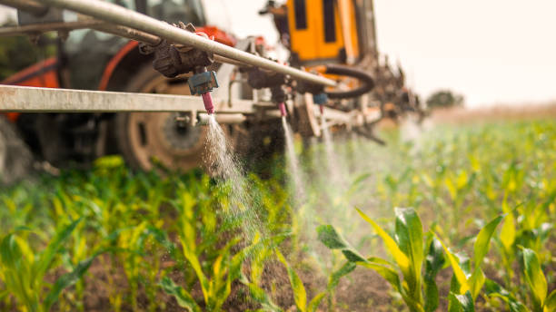 Best Mosquito Control Services  in Richmond, VA